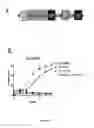 Fig. 30 - Truncated Constructs Related To RIPK3