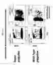 Fig. 07 - Modified stem cell memory T cells, methods of making and methods of using same