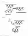 Fig. 02 - ALLERGEN DETECTION USING MAGNETICS