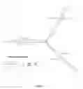 Fig. 09 - SMALL INTERFERENCE RNA COMPLEX WITH INCREASED INTRACELLULAR TRANSMISSION CAPACITY
