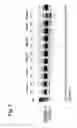 Fig. 02 - METHODS AND MEANS FOR EFFICIENT SKIPPING OF EXON 45 IN DUCHENNE MUSCULAR DYSTROPHY PRE-mRNA