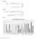 Fig. 04 - Single-stranded oligonucleotide