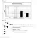 Fig. 12 - Single-stranded oligonucleotide