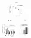Fig. 09 - Methods for improving cognitive function via modulation of quinone reductase 2