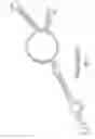 Fig. 04 - Galactose utilization