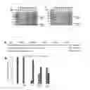 Fig. 06 - COMPOSITION FOR SOLUBILIZING TARGET PROTEIN AND USE THEREOF