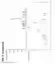Fig. 10 - Multi-copy strategy for high-titer and high-purity production of multi-subunit proteins such as antibodies in transformed microbes such as 