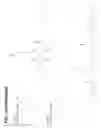 Fig. 20 - Multi-copy strategy for high-titer and high-purity production of multi-subunit proteins such as antibodies in transformed microbes such as 
