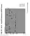 Fig. 33 - Multi-copy strategy for high-titer and high-purity production of multi-subunit proteins such as antibodies in transformed microbes such as 