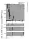 Fig. 40 - Multi-copy strategy for high-titer and high-purity production of multi-subunit proteins such as antibodies in transformed microbes such as 
