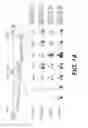 Fig. 02 - LENTIVIRAL TRIPLEX DNA, AND VECTORS AND RECOMBINANT CELLS CONTAINING LENTIVIRAL TRIPLEX DNA