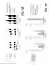 Fig. 07 - LENTIVIRAL TRIPLEX DNA, AND VECTORS AND RECOMBINANT CELLS CONTAINING LENTIVIRAL TRIPLEX DNA