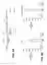 Fig. 09 - LENTIVIRAL TRIPLEX DNA, AND VECTORS AND RECOMBINANT CELLS CONTAINING LENTIVIRAL TRIPLEX DNA