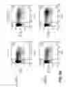 Fig. 16 - LENTIVIRAL TRIPLEX DNA, AND VECTORS AND RECOMBINANT CELLS CONTAINING LENTIVIRAL TRIPLEX DNA