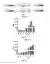 Fig. 02 - Lentiviral vector capable of directly reflecting type I interferon response, preparation method thereof, and applications thereof