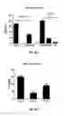 Fig. 07 - METHODS FOR IMPROVED HOMOLOGOUS RECOMBINATION AND COMPOSITIONS THEREOF