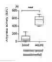 Fig. 01 - Method of detecting bacterial infection in a biological sample