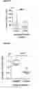 Fig. 04 - Method of detecting bacterial infection in a biological sample