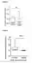 Fig. 07 - Method of detecting bacterial infection in a biological sample