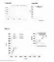 Fig. 08 - Method of detecting bacterial infection in a biological sample