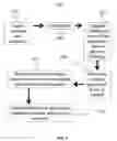 Fig. 02 - Long non-coding RNA gene expression signatures in disease monitoring and treatment