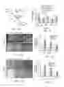 Fig. 02 - RNA fixation and detection in clarity-based hydrogel tissue