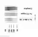 Fig. 49 - Compositions including a double stranded nucleic acid molecule and a stem-loop oligonucleotide