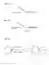 Fig. 02 - CAPTURE PRIMERS AND CAPTURE SEQUENCE LINKED SOLID SUPPORTS FOR MOLECULAR DIAGNOSTIC TESTS