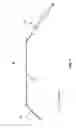 Fig. 02 - OLIGONUCLEOTIDES FOR SELECTIVE AMPLIFICATION OF NUCLEIC ACIDS