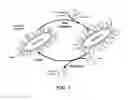 Fig. 07 - Engineered microbes for rare earth element adsorption