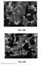 Fig. 09 - Method of direct reduction of chromite with cryolite additive