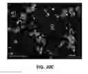 Fig. 22 - Method of direct reduction of chromite with cryolite additive