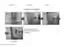 Fig. 14 - System and method for concentrating rare earth elements from coal byproducts/slag
