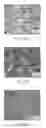 Fig. 06 - Titanium-based alloy and method for manufacturing a titanium-based alloy component by an additive manufacturing process