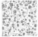 Fig. 01 - Method for producing an improved ductile iron alloy with pearlitic matrix
