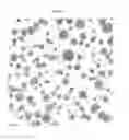 Fig. 03 - Method for producing an improved ductile iron alloy with pearlitic matrix