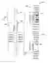 Fig. 01 - Magnetic gradient drilling