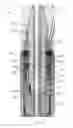 Fig. 10 - Tubing hanger alignment device