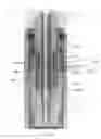 Fig. 13 - Tubing hanger alignment device