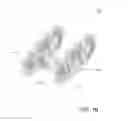 Fig. 03 - Silencer insert, silencer comprising the same and method for manufacturing a silencer insert