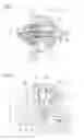 Fig. 02 - Turbocharger for an Internal Combustion Engine