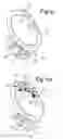 Fig. 05 - Reciprocating-piston machine