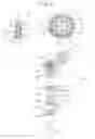 Fig. 04 - SPARK IGNITION TYPE INTERNAL COMBUSTION ENGINE