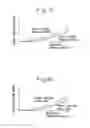 Fig. 14 - SPARK IGNITION TYPE INTERNAL COMBUSTION ENGINE