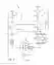 Fig. 04 - CONTROL OF AIRFLOW IN A UNIFLOW-SCAVENGED, TWO-STROKE CYCLE, OPPOSED-PISTON ENGINE DURING TRANSIENT OPERATION