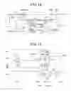 Fig. 09 - Ignition apparatus