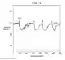 Fig. 14 - APPARATUS FOR DETECTING A SUBSTANCE AND METHOD OF OPERATING THE SAME