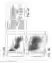 Fig. 09 - MICROFLUIDIC DEVICE FOR FULL BLOOD COUNT