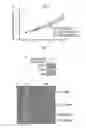 Fig. 09 - Method of treating cancer metastasis by CDK 4/6 inhibitors