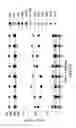 Fig. 04 - TISSUE PROFILING USING MULTIPLEXED IMMUNOHISTOCHEMICAL CONSECUTIVE STAINING